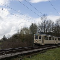 230319 2N9A0284