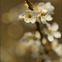 160227 1N3A8666