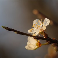 160316 1N3A9034