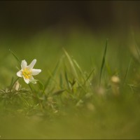 160326 1N3A9301
