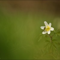 160326 1N3A9365