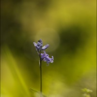 160421 1N3A6836