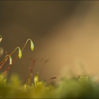 180225 1N3A9974