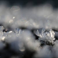 190120 1N3A1275
