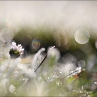 190120 1N3A1527