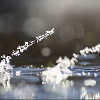 190120 1N3A1587