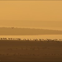 181117 078A9855
