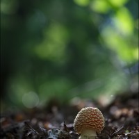 200921 1N3A6593