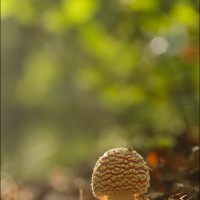 200921 1N3A6598