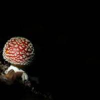 200921 1N3A6602