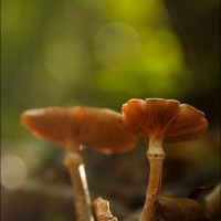 200921 1N3A6688