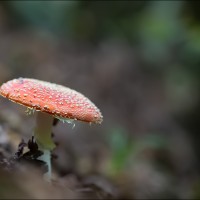 200923 1N3A6857
