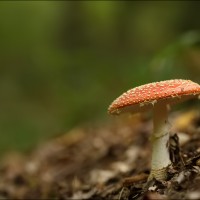 200923 1N3A6863