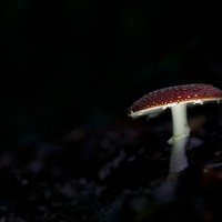 200923 1N3A6871