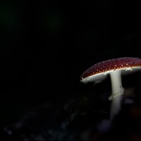 200923 1N3A6873