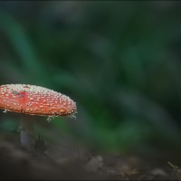 200923 1N3A6910