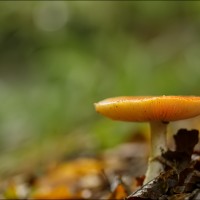 200927 1N3A7302