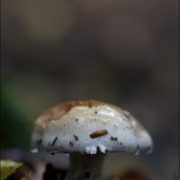 201006 1N3A8412