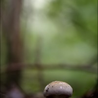 201006 1N3A8422