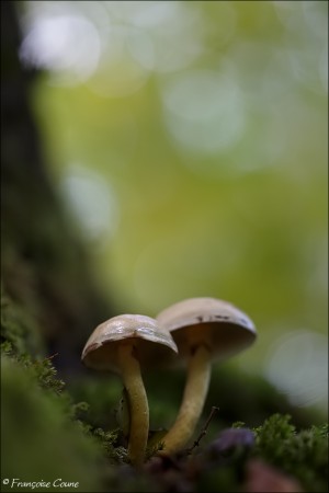201009 1N3A8655