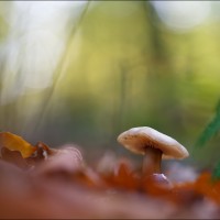 201031 1N3A9964
