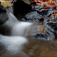 201107 078A0096