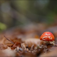 201108 1N3A01226