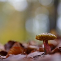 201109 1N3A0187