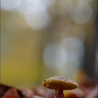 201109 1N3A0188