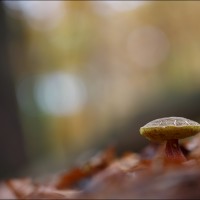 201109 1N3A0197