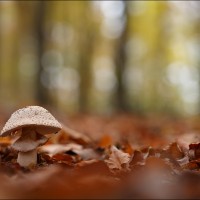201109 1N3A0214