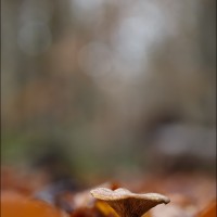 201123 1N3A4617