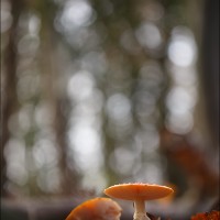 201123 1N3A4635