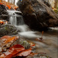 201129 078A5024