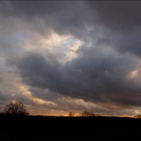 201220 1N3A5533