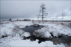 Fagne de Malchamps