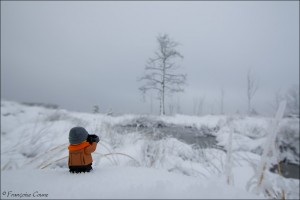 Fagne de Malchamps