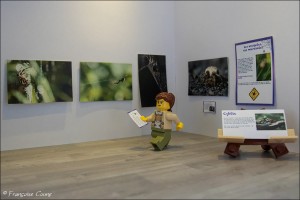 Expo photos