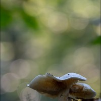 211008 078A0492