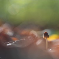 211024 078A7904