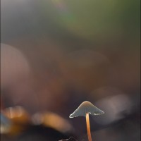 211024 078A7993