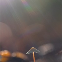 211024 078A8002