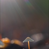 211024 078A8036