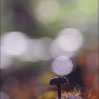 211027 078A8424
