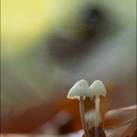 211027 078A9213