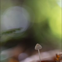 211027 078A9239