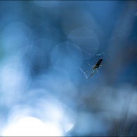 220515 1N3A0618