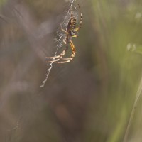 220904 276A1467