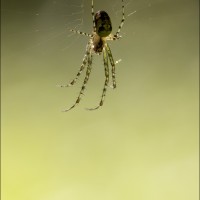 210825 078A9605